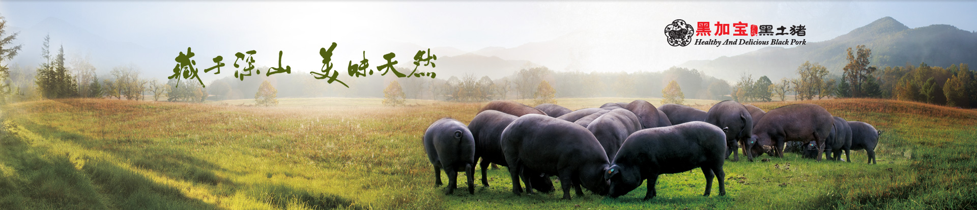 heizhu