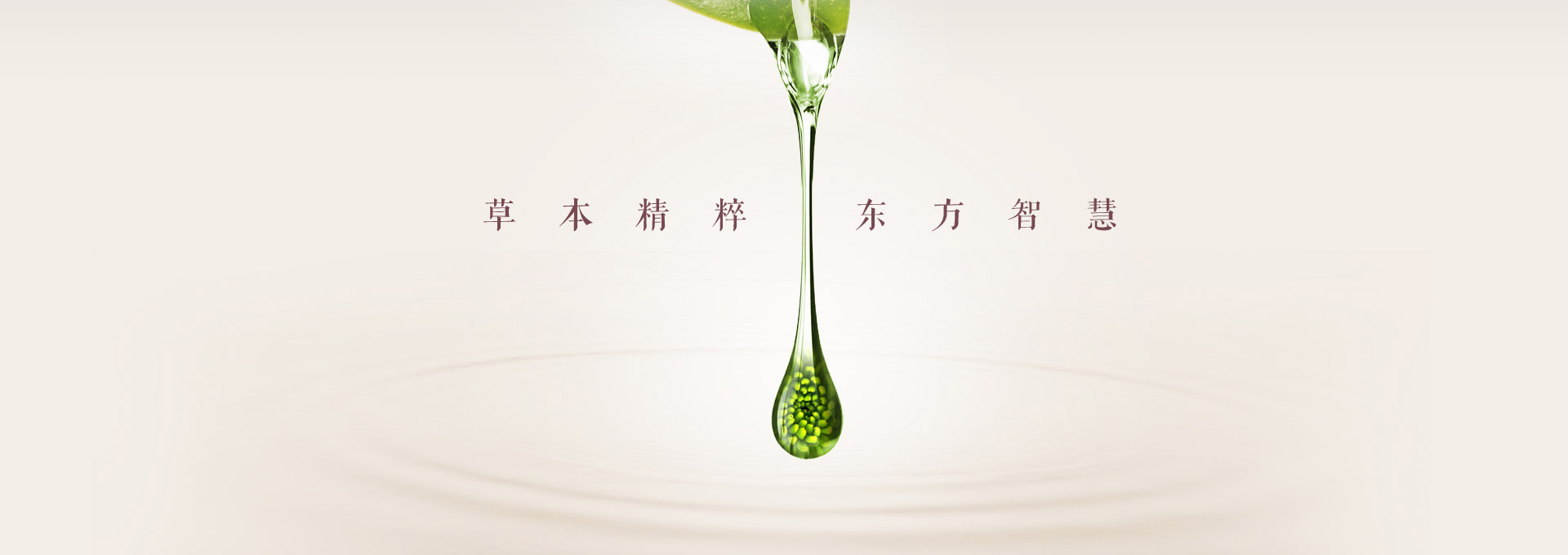 ldbc_02 ldbc_02