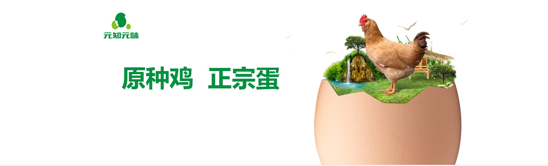 yzyw1