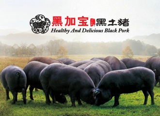 20150703112850333